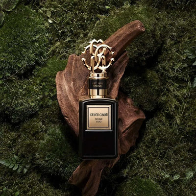 GOLD DIVINE OUD 100ML EDP