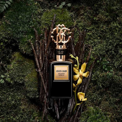 GOLD SPLENDID VANILLA 100ML EDP